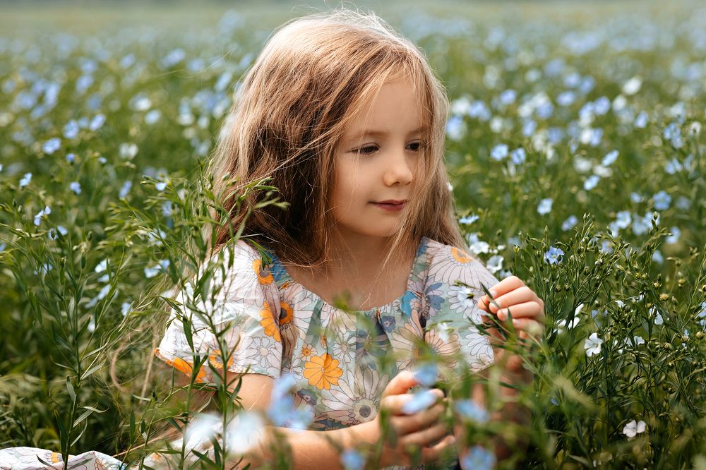 Льняное поле