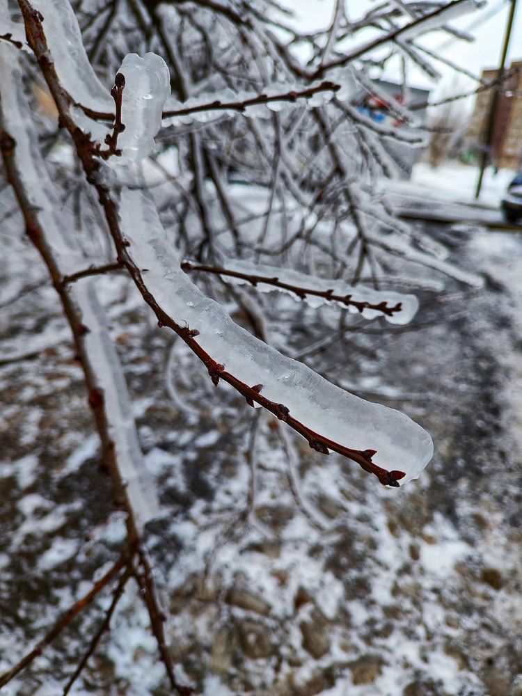 Photograph by Анна Напримерова