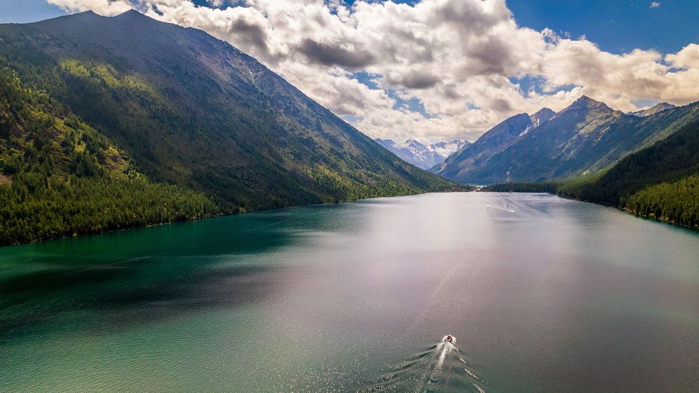 Фотография автора Totoro D