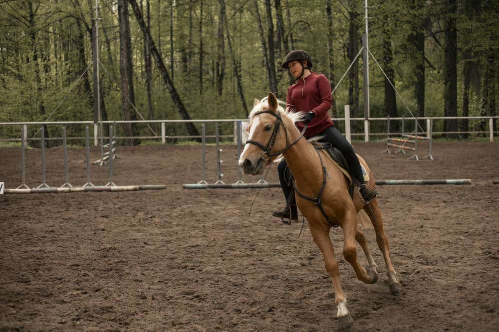 Photograph by Татьяна Артник