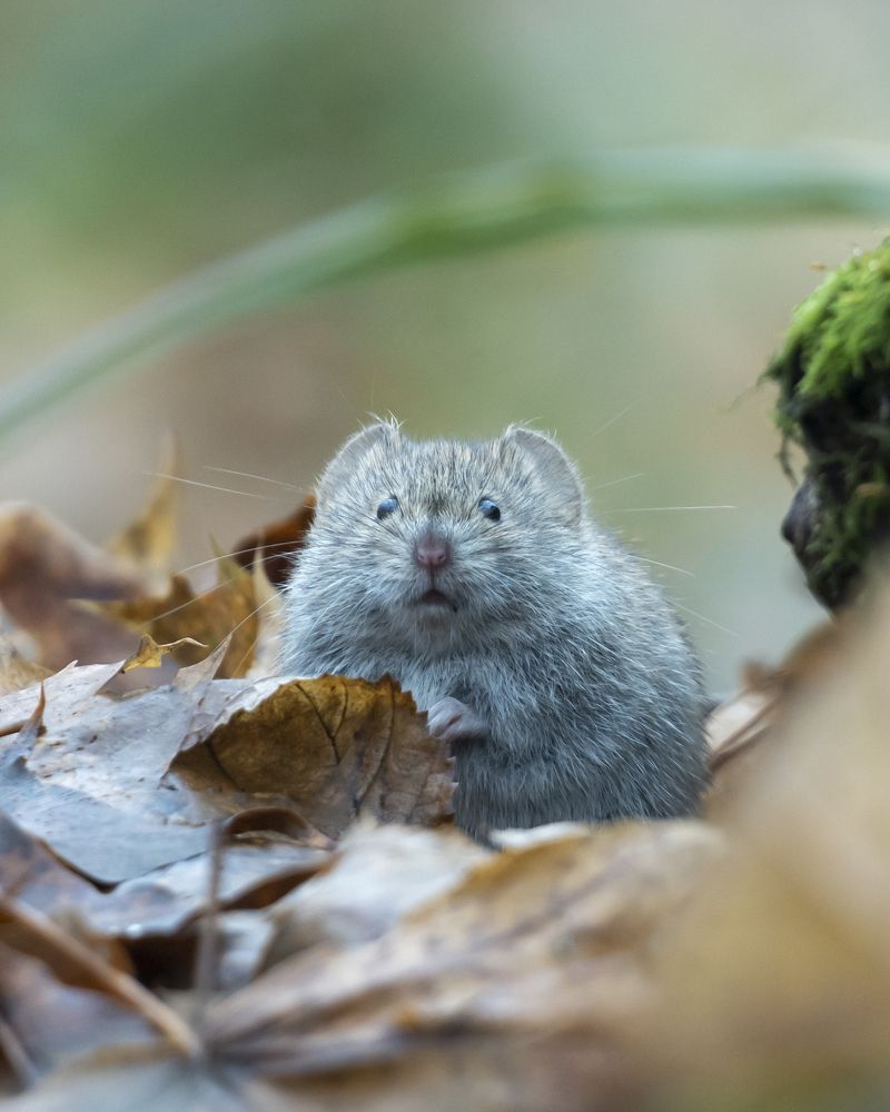 Фотография автора Сергей Затямин