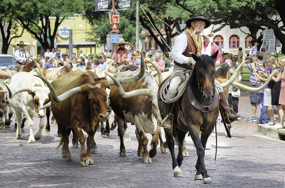 Photograph by LOKANATH MUDA