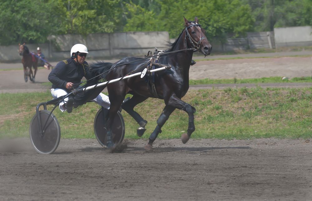 Photograph by Наталья Дроздова