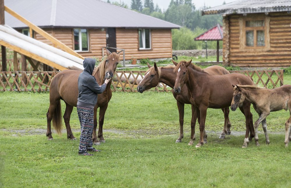 Photograph by Наталья Дроздова