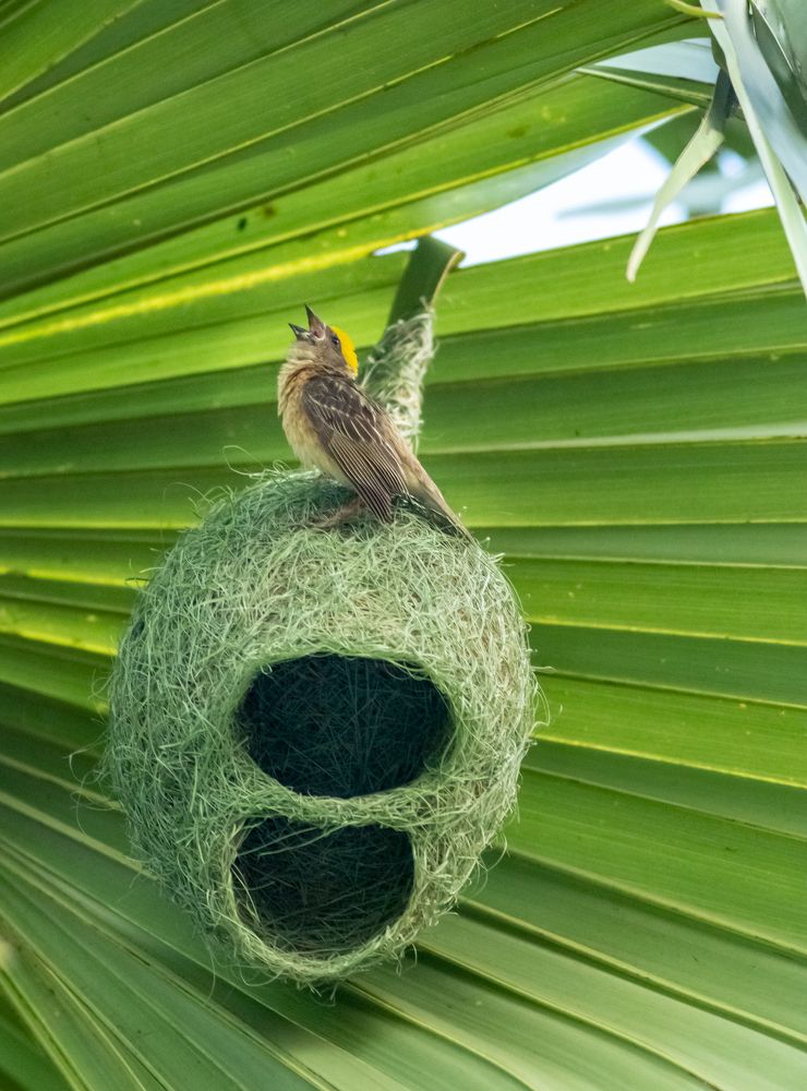 Photograph by Md Matiur Rahman