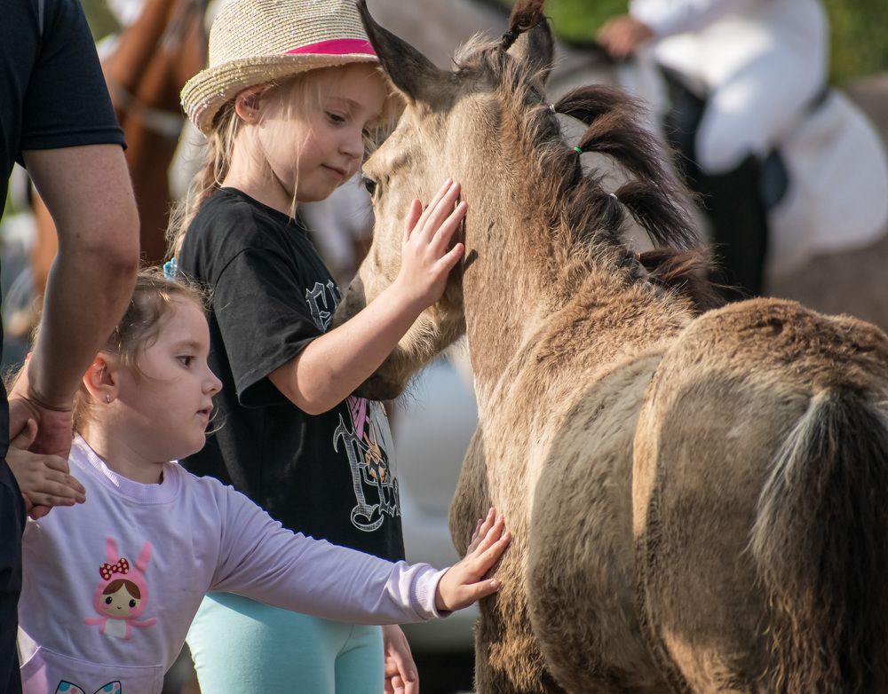 Photograph by Irina Luidinshina