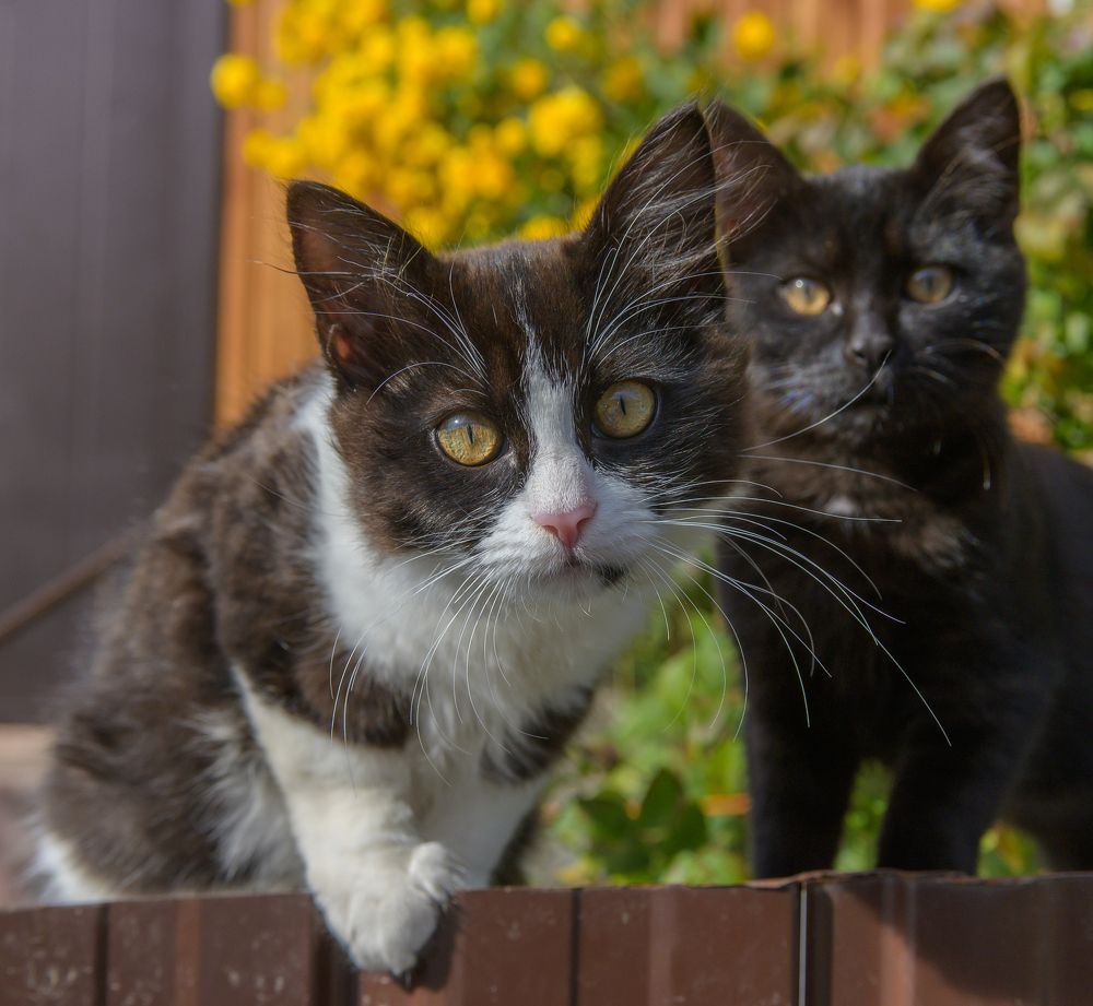 Photograph by Евгений Владимиров