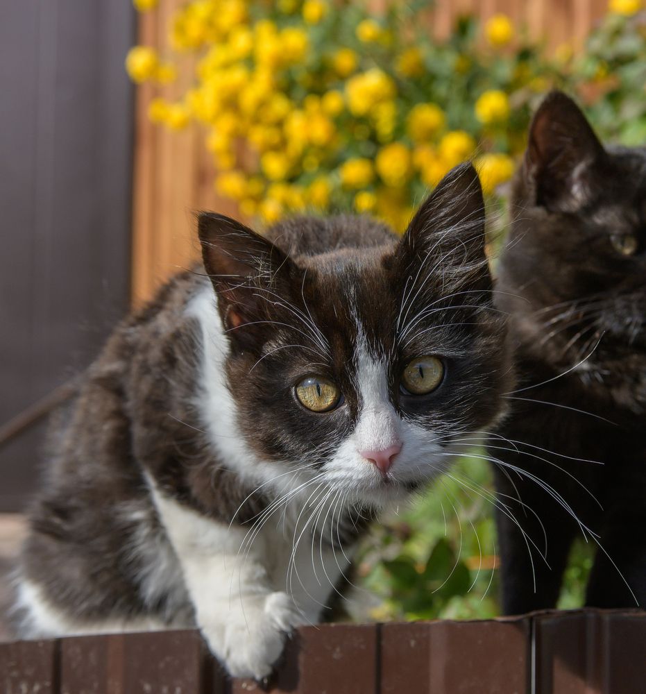 Photograph by Евгений Владимиров