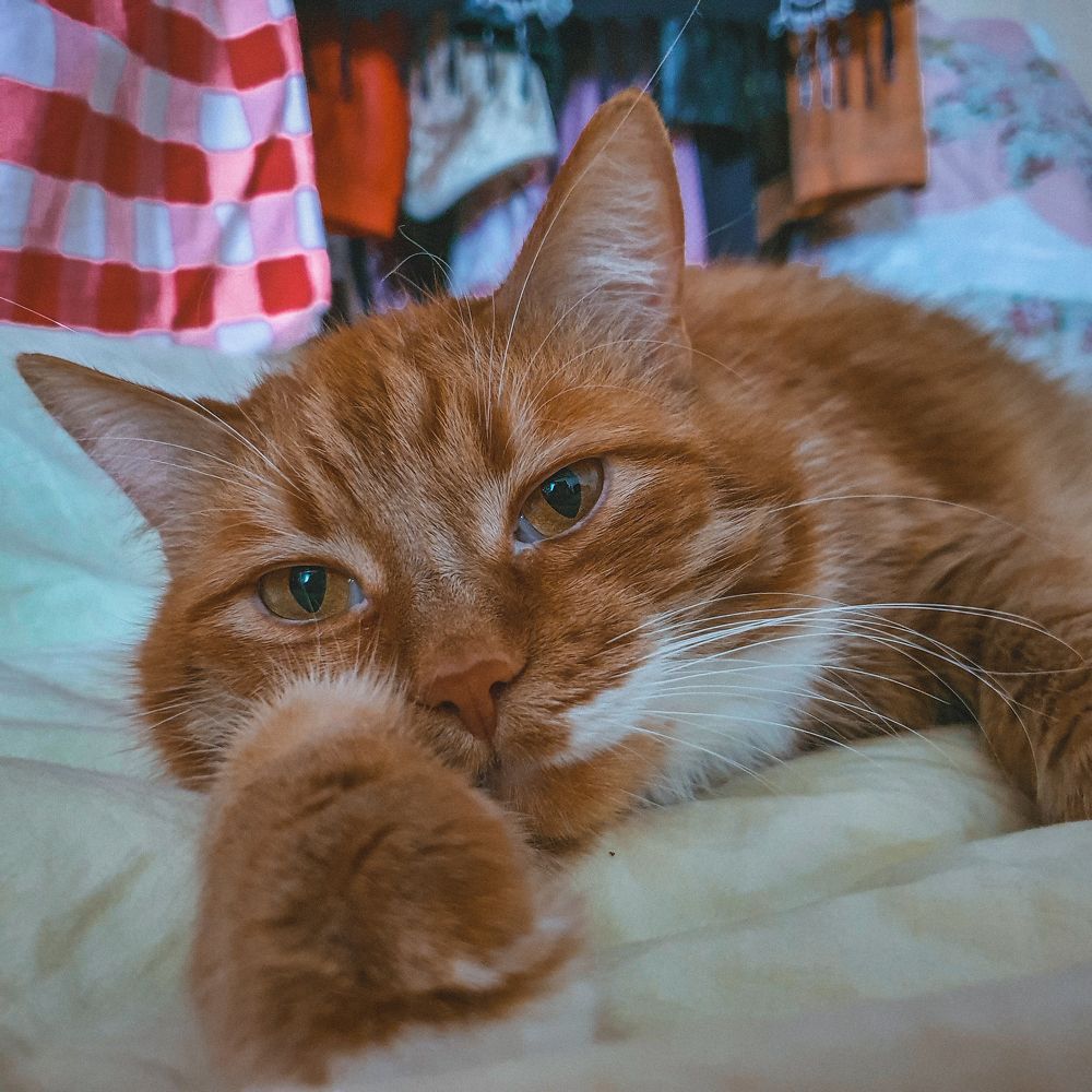 Photograph by Юлия Васильевна