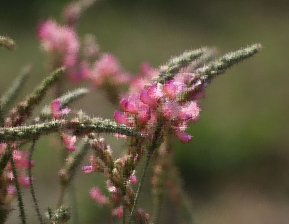 Photograph by АЛЛА ТАРАСЕНКО