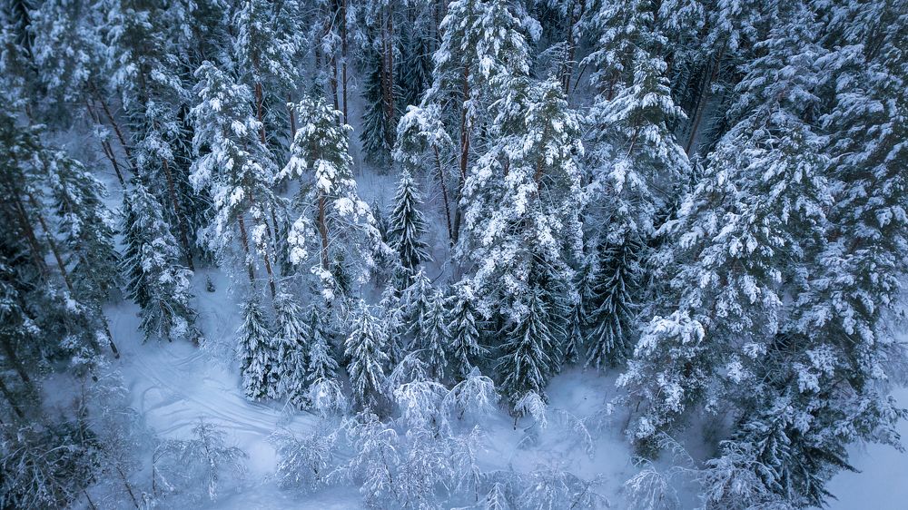 Photograph by Сергей Фаренюк