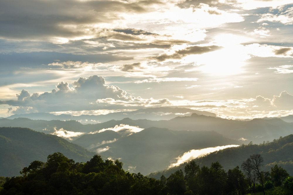 Photograph by Suksiri Natcha