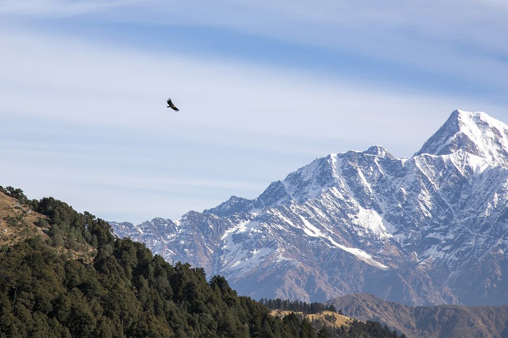 Photograph by LOKANATH MUDA