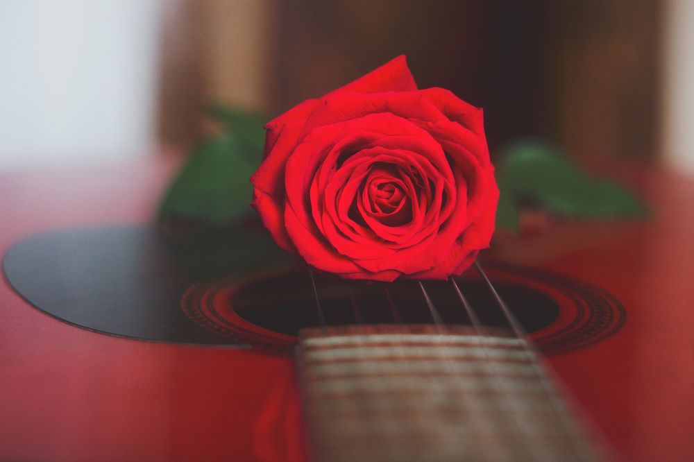 Photograph by Анна Хомутова