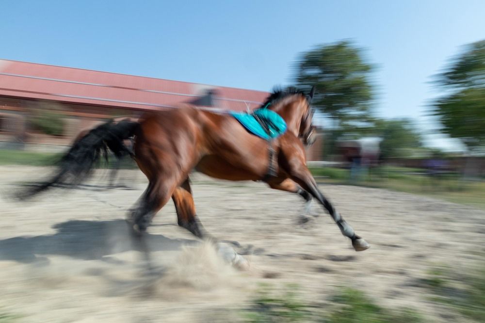 Фотография автора Van Gross