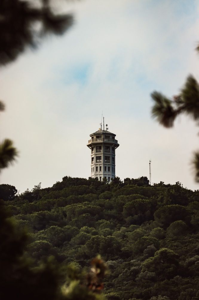 Photograph by Anton Krol