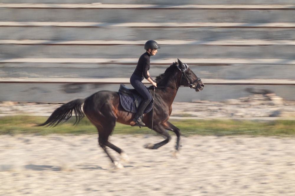 Фотография автора Van Gross