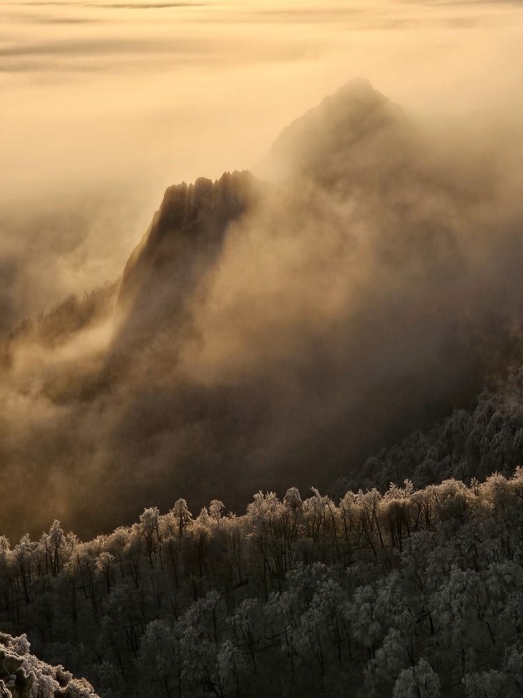 Photograph by Аня