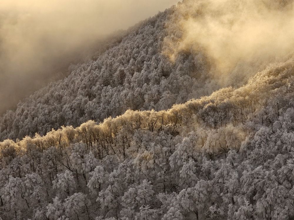 Photograph by Аня