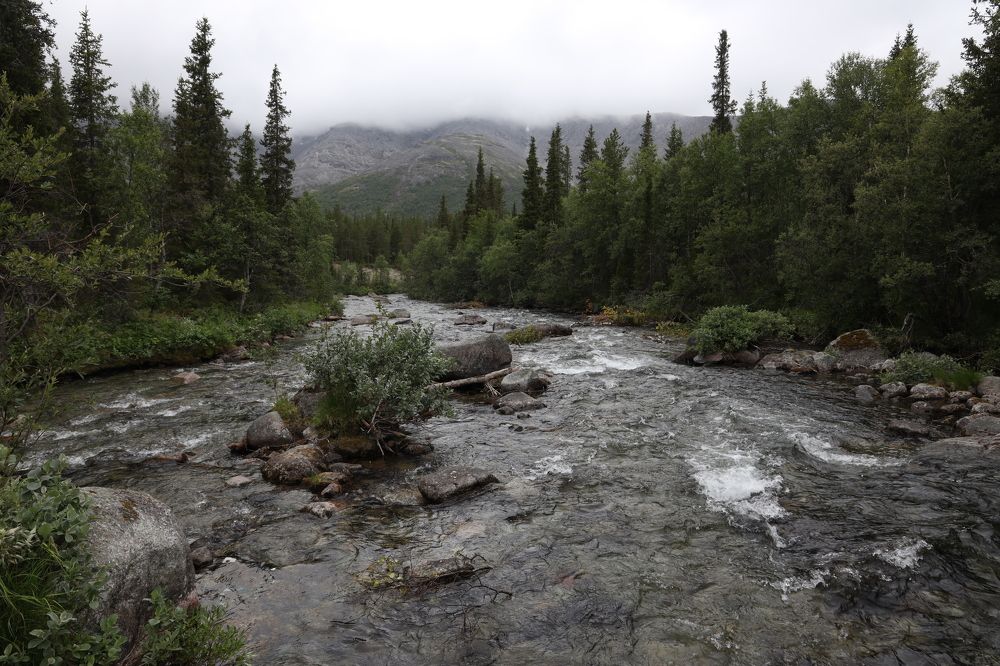 Фотография автора Колосова Елена