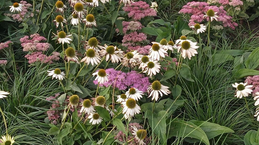 Photograph by Дин Дина