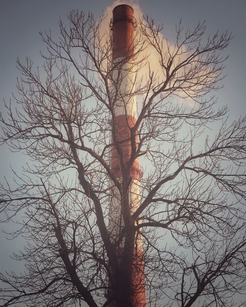 Photograph by MobigrafVDK