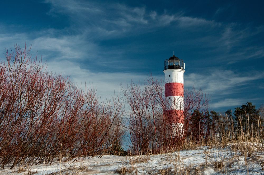 Photograph by Игорь Овсиенко