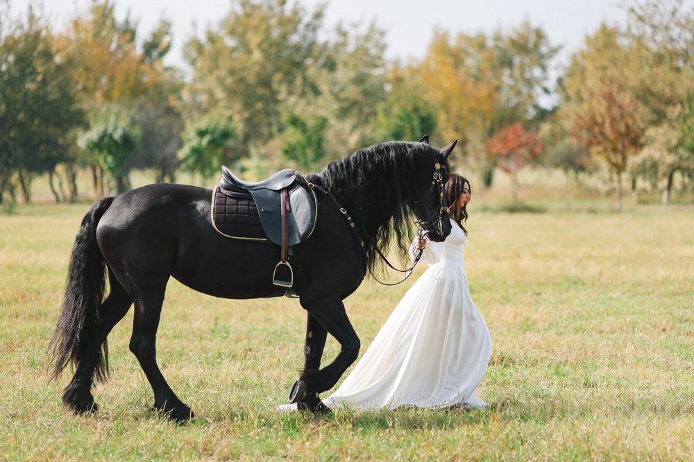 Фотография автора solomnishvili giorgi