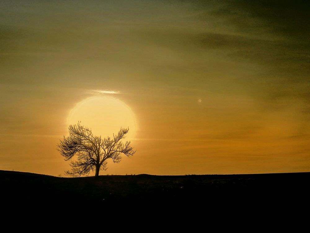 Photograph by Mahdi Abbasi