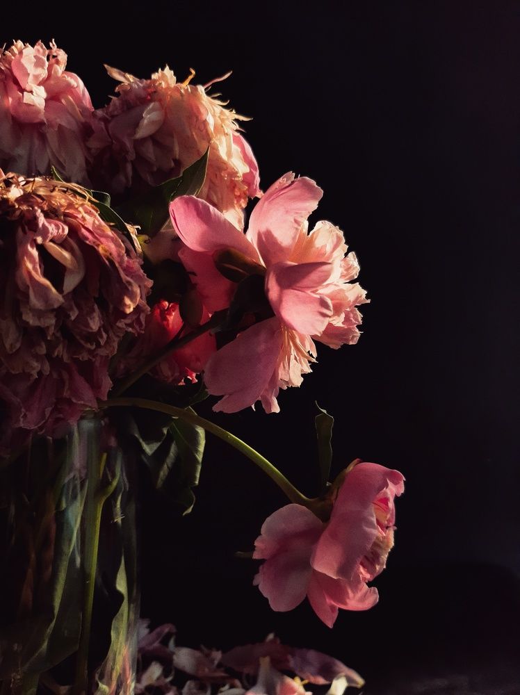 Photograph by Алия Латыйпова