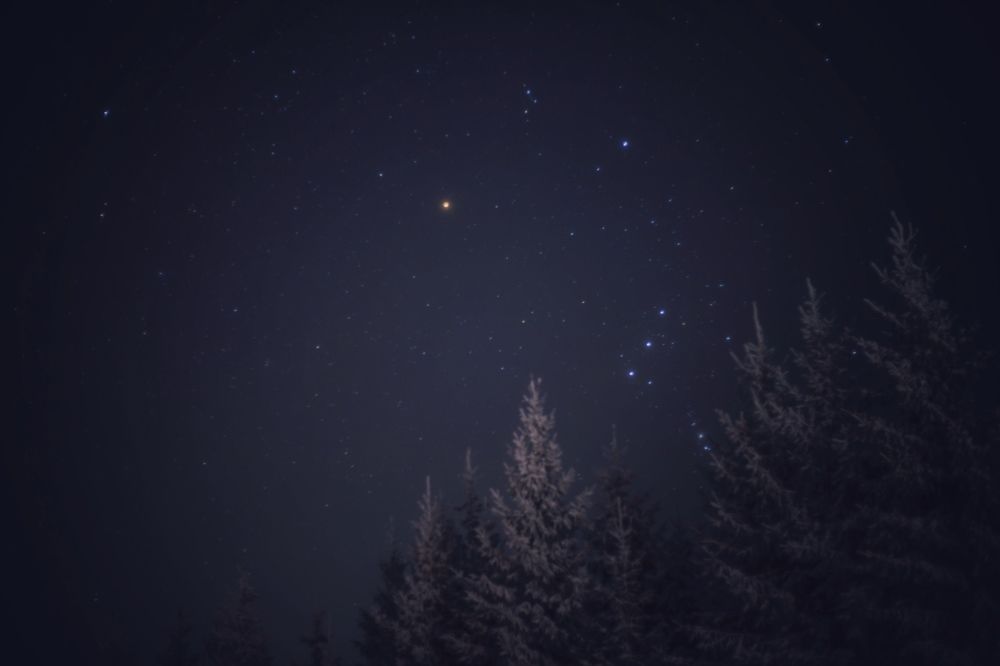 Photograph by Паша Савельев