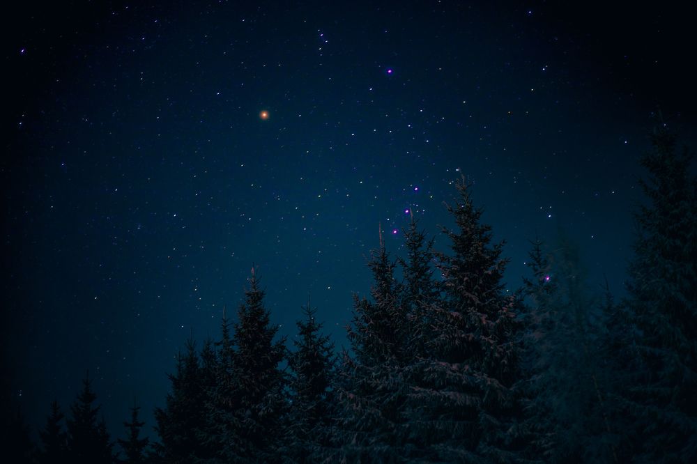 Photograph by Паша Савельев