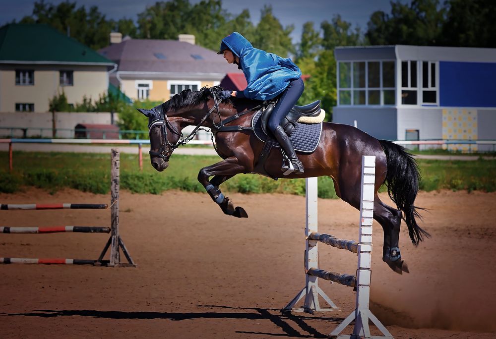 Фотография автора Наталья Новикова