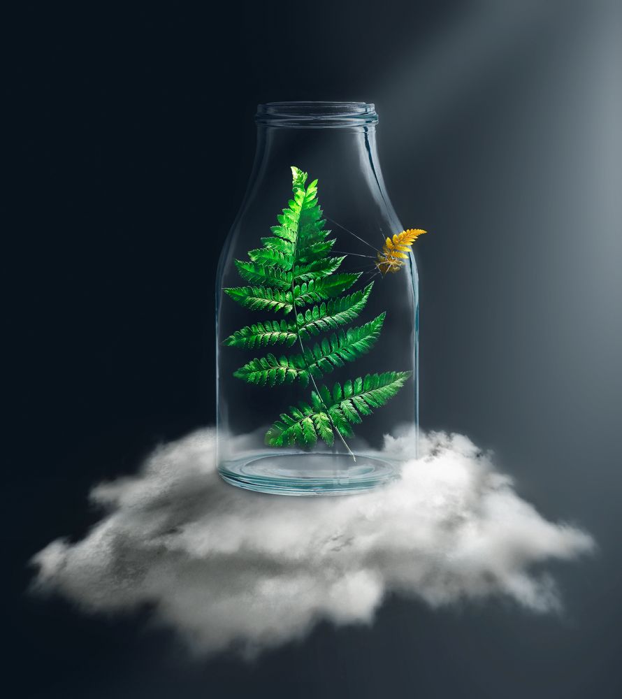 Лоно природы