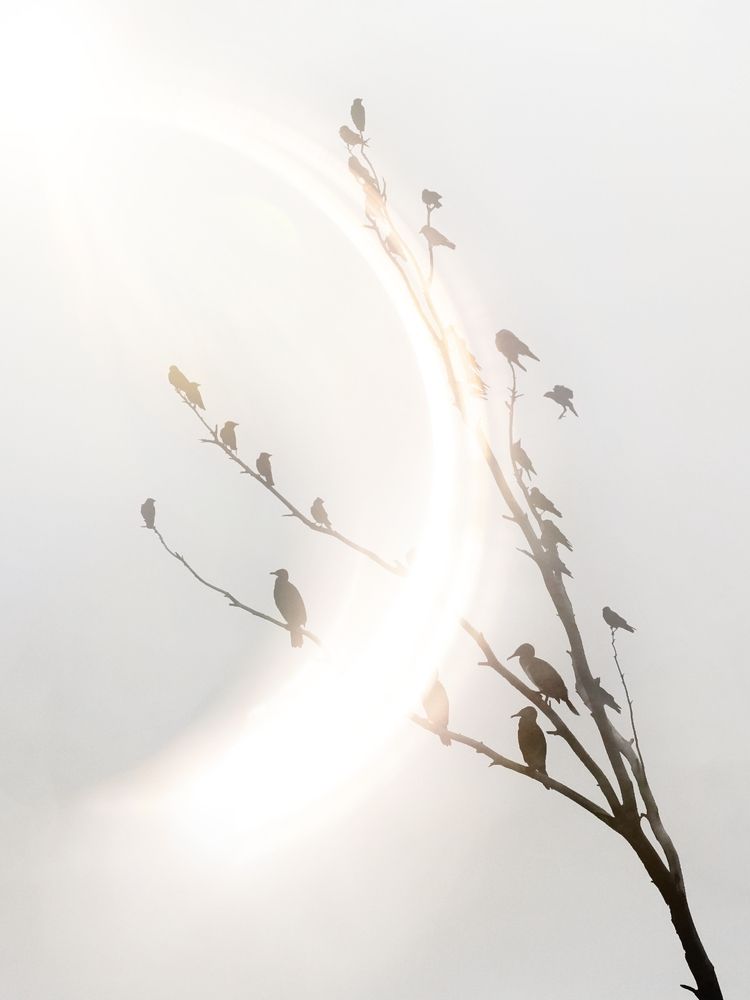 Photograph by Giuseppe Catalano