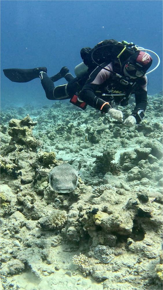 Photograph by Мария Берёзка