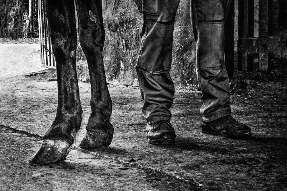 Photograph by Yeney Ramos Camejo