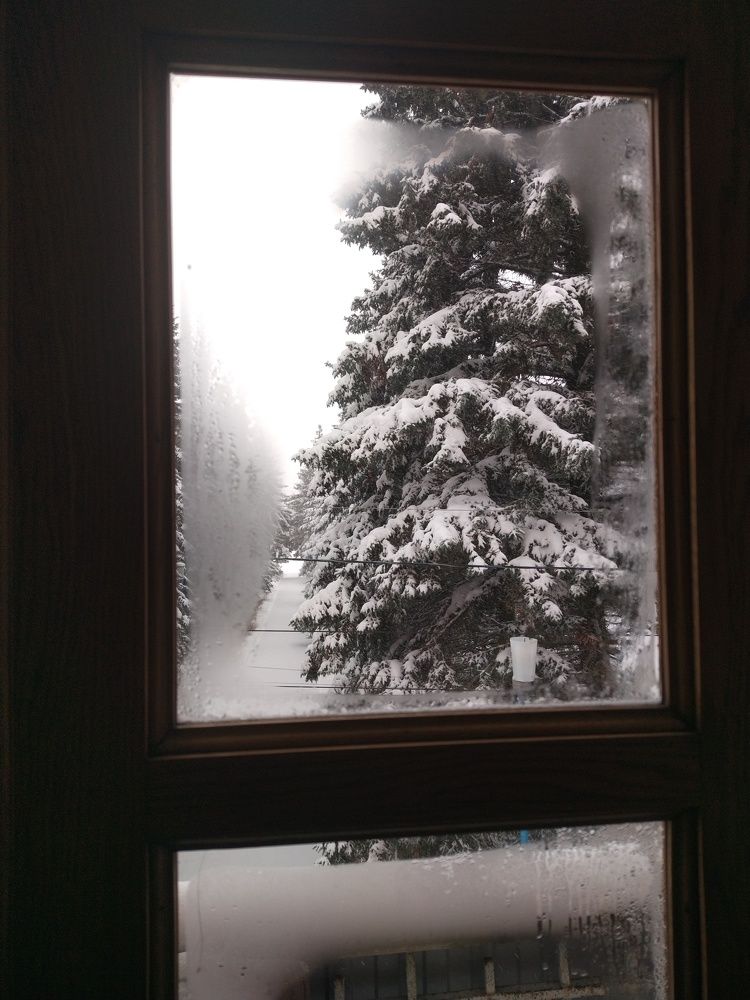 Зимняя тишина (winter silence)