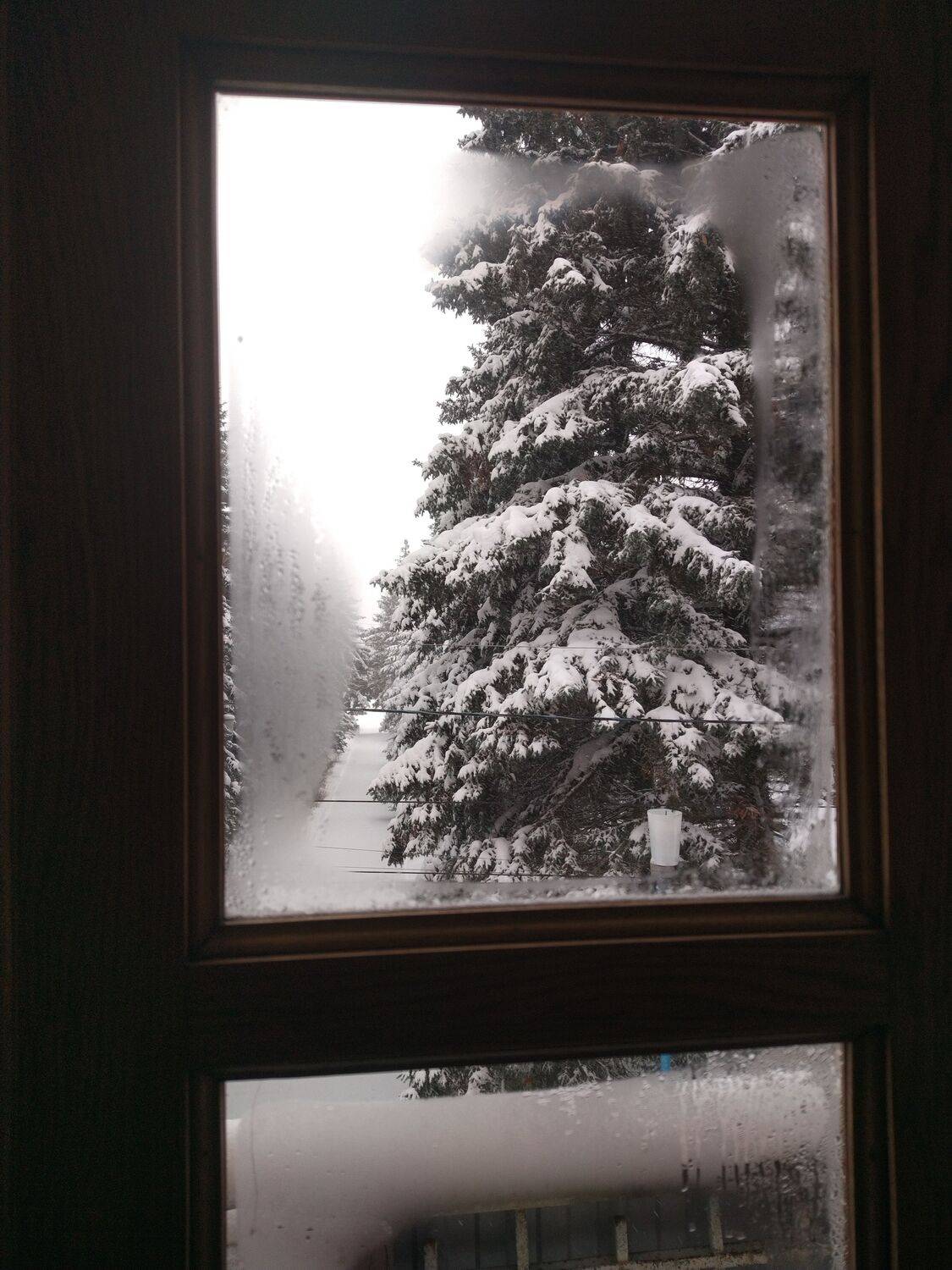 Зимняя тишина (winter silence)