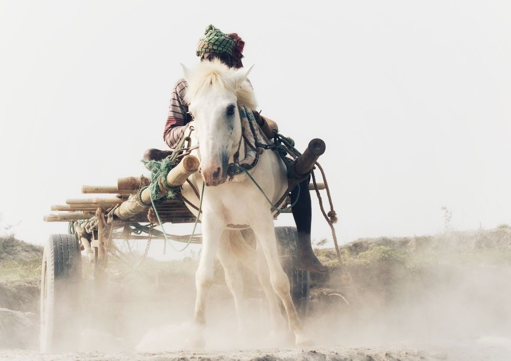 Photograph by Washiful Majid