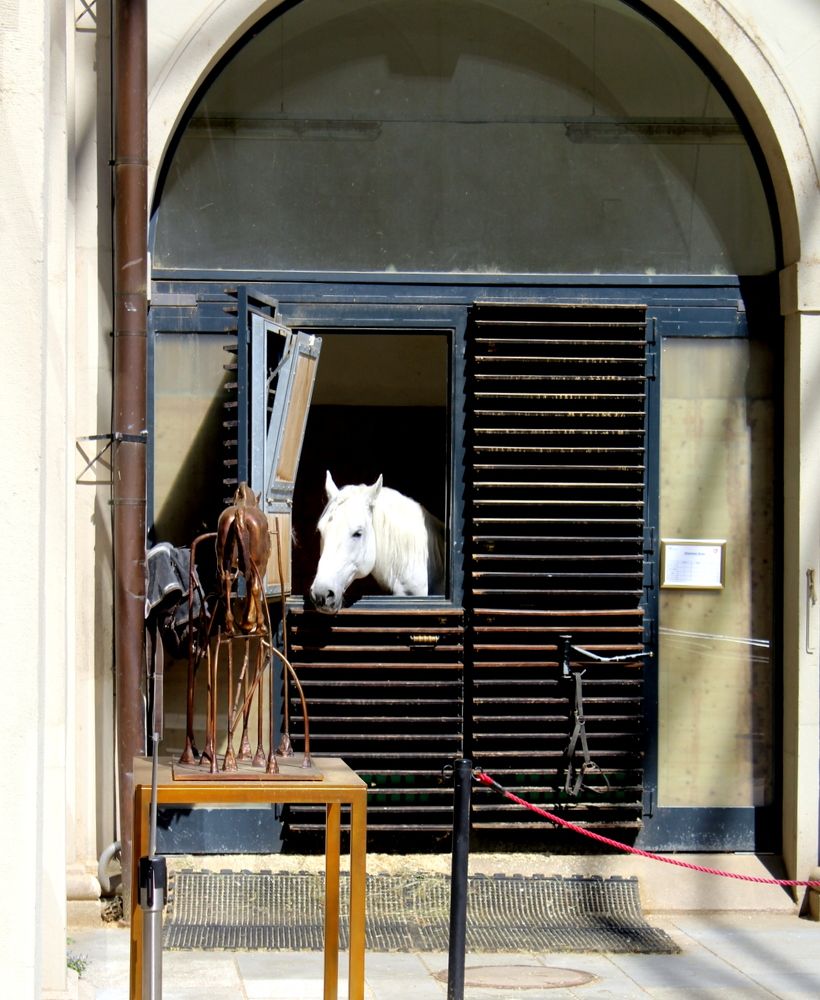 Photograph by Жанна Нечаева