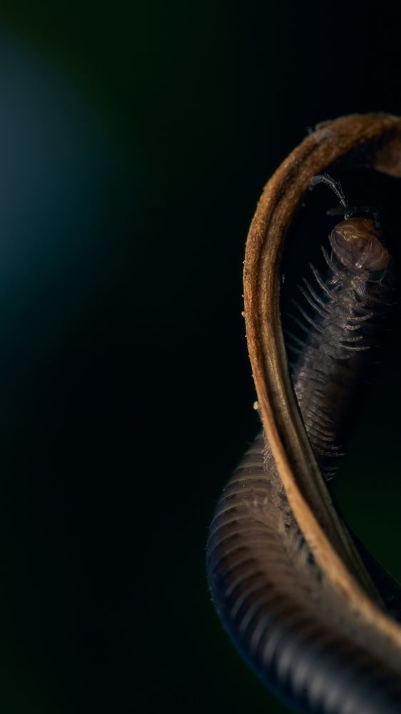 Фотография автора Santiago Diaz Aragon