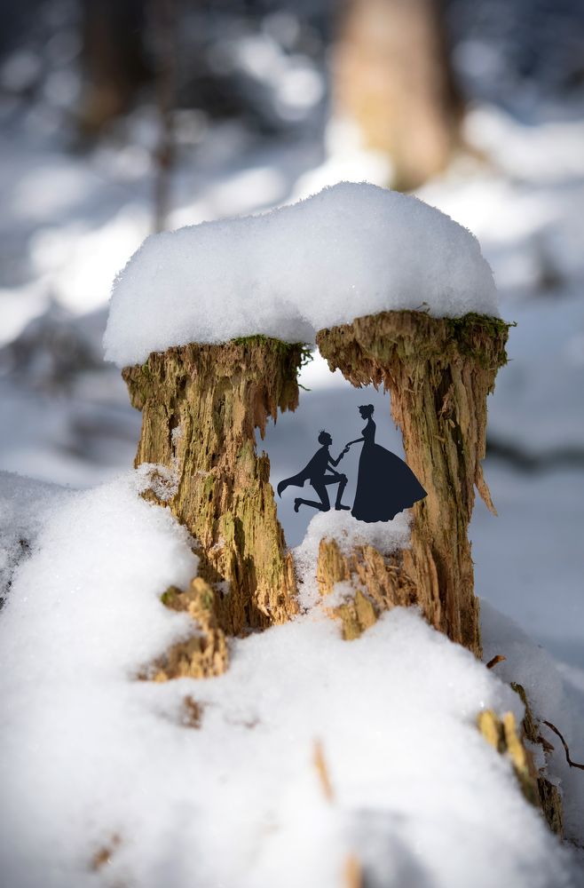 Winter fairy tale with Prince and Princess