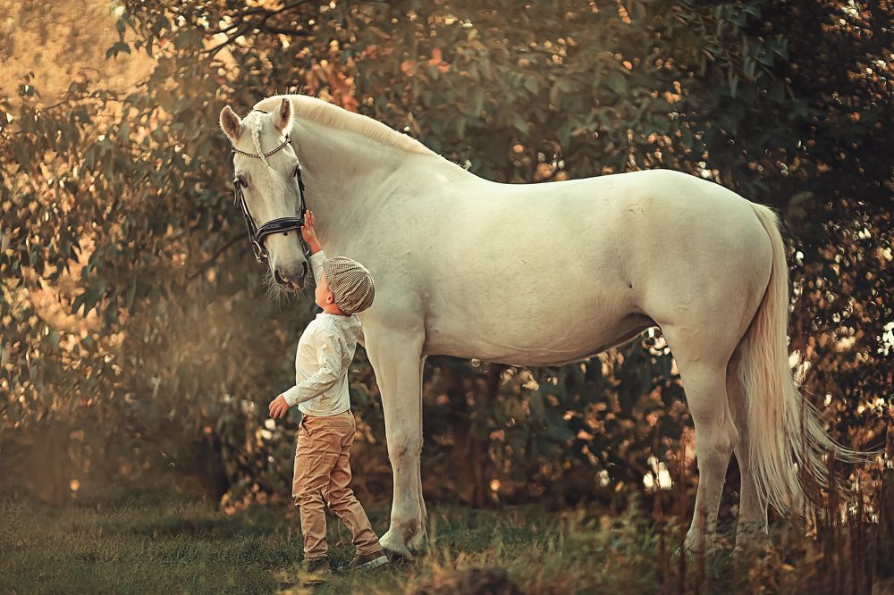 Photograph by Алина Кордис