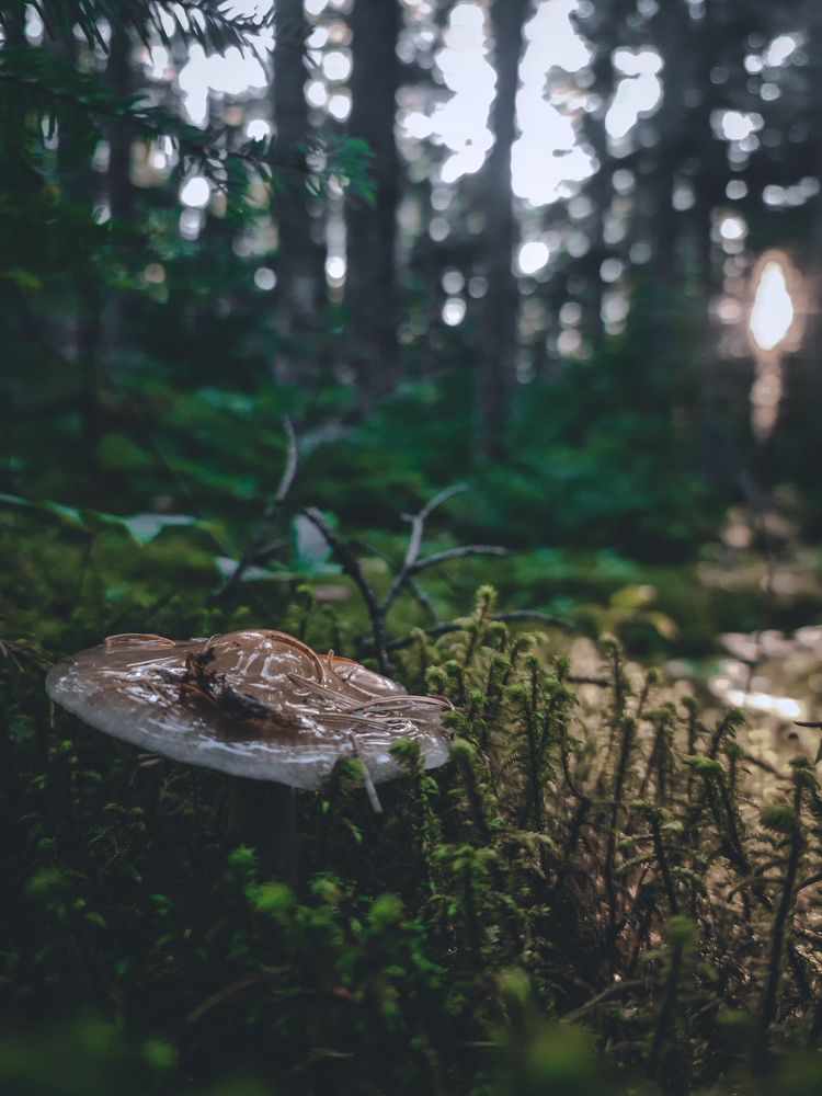 Photograph by Макс Иванов