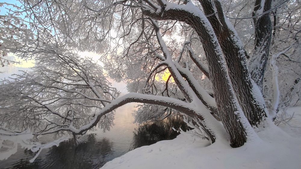 Photograph by Межин Сергей