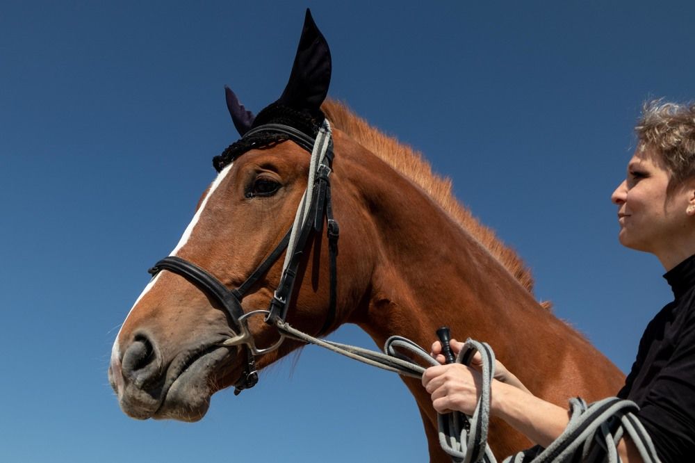 Фотография автора Van Gross