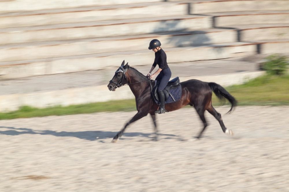 Фотография автора Van Gross