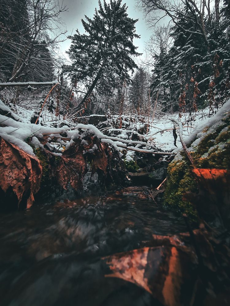 Photograph by Макс Иванов