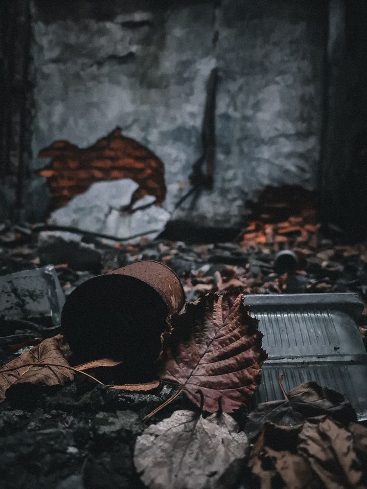 Photograph by Макс Иванов